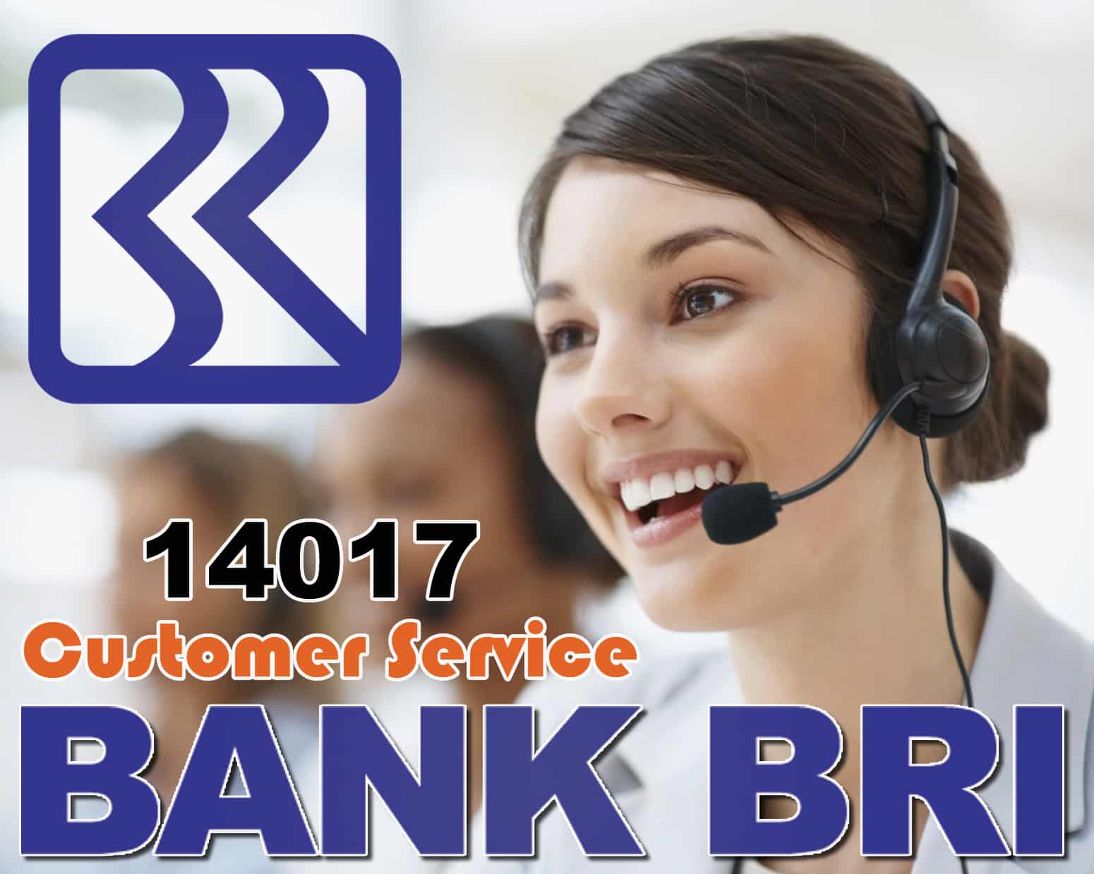 Number-and-services-provided-Call-Center-BRI