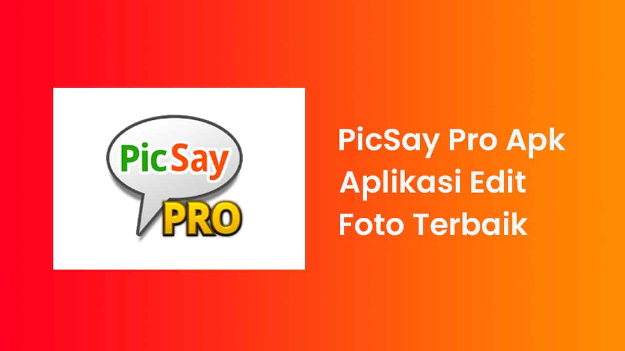 Apa-Itu-Picsay-Pro