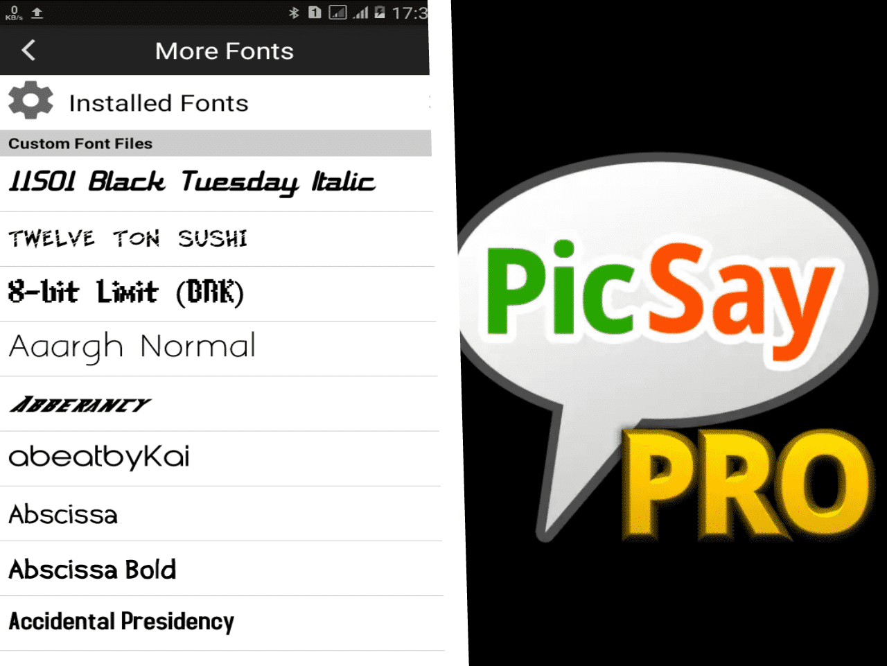 Overview-Picsay-Pro
